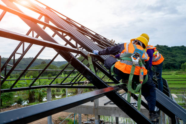 Best New Roof Installation  in Fox River Grove, IL
