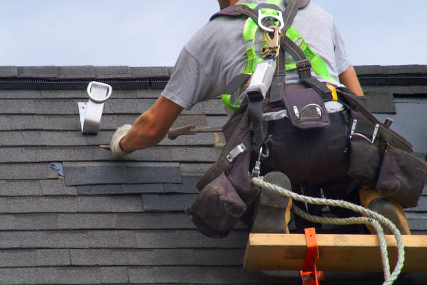 Best Local Roofing Companies  in Fox River Grove, IL