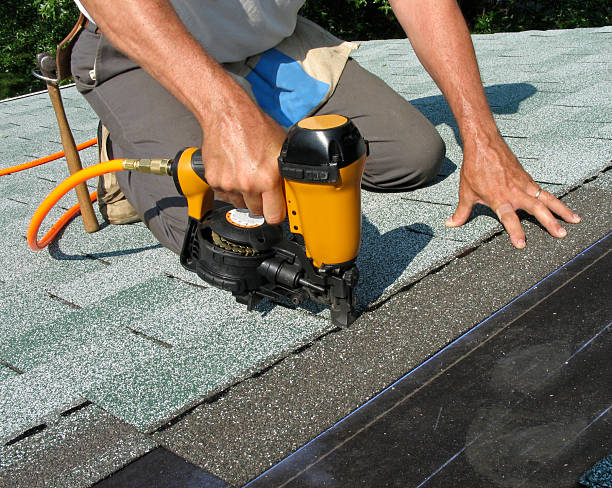 Best Roof Leak Repair  in Fox River Grove, IL