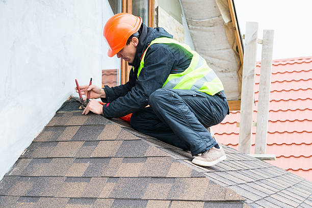 Best New Roof Installation  in Fox River Grove, IL