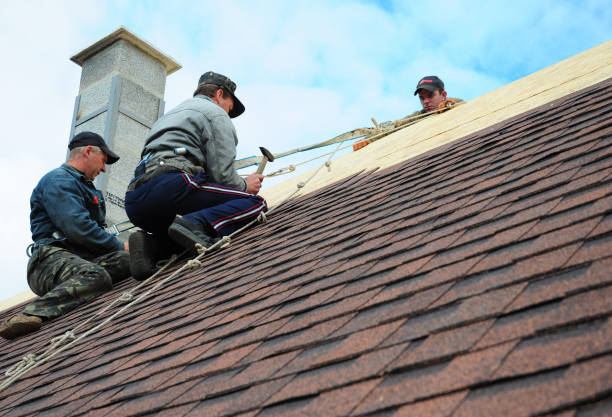 Quick and Trustworthy Emergency Roof Repair Services in Fox River Grove, IL