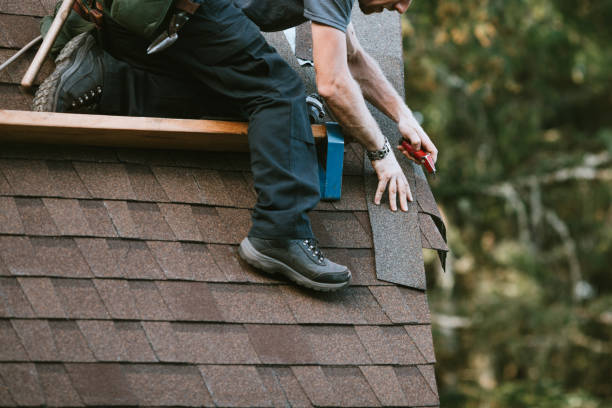Best Flat Roof Repair Services  in Fox River Grove, IL