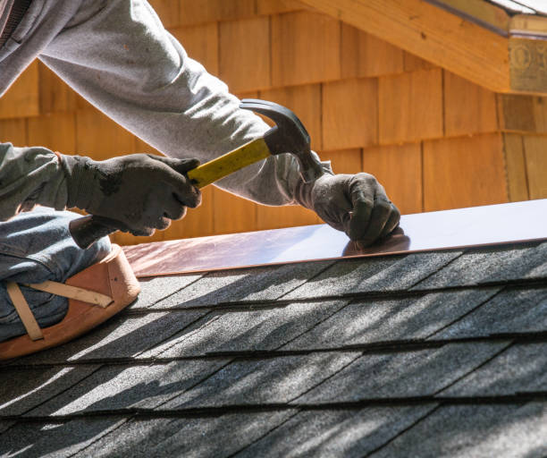 Roof Gutter Cleaning in Fox River Grove, IL
